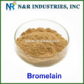 9001-00-7 pineapple extract bromelain 2400gdu